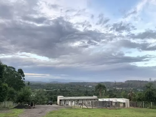 ESTRUTURA DO CANIL