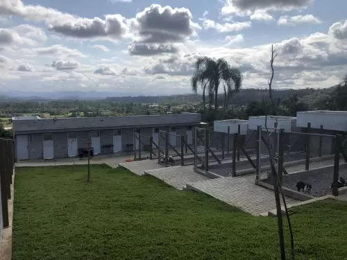 ESTRUTURA DO CANIL